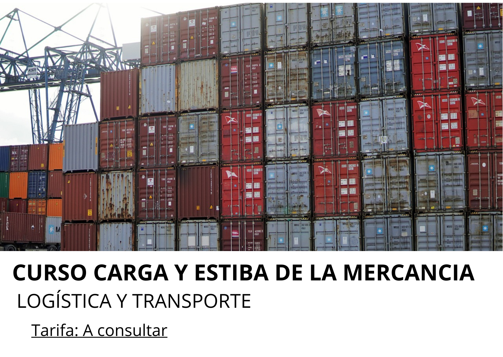 curso logistica y transporte madrid carga y estiba